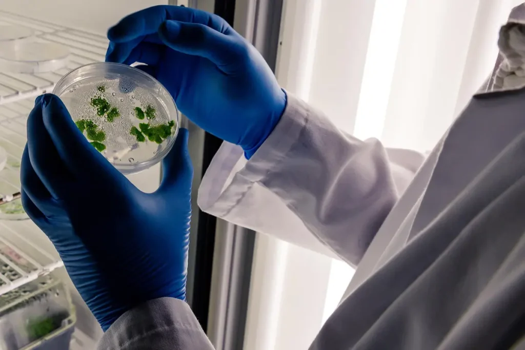 What is Legionella Analysis? How is Legionella Analysis Performed?