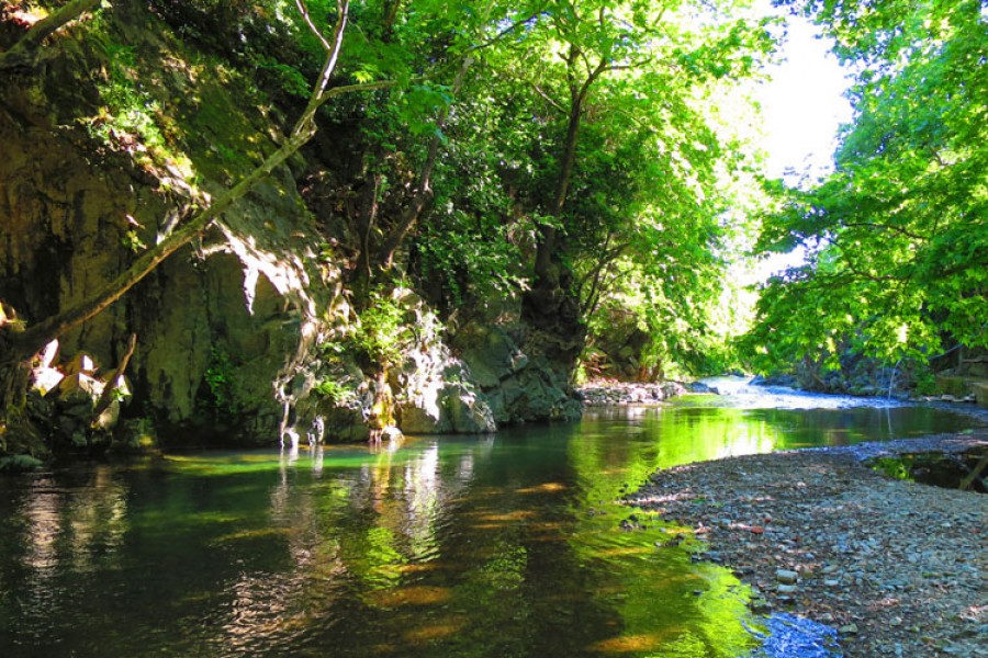Çözünmüş Oksijen Nedir