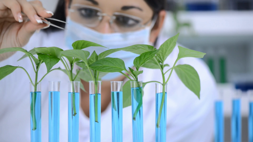 Biyolojik Oksijen İhtiyacı (BOİ) Analizi